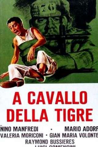 A cavallo della tigre