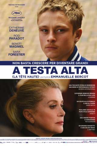 A testa alta