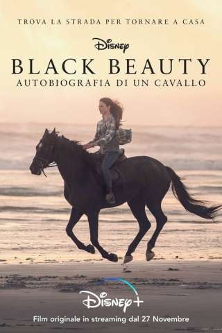 Black Beauty - Autobiografia di un cavallo