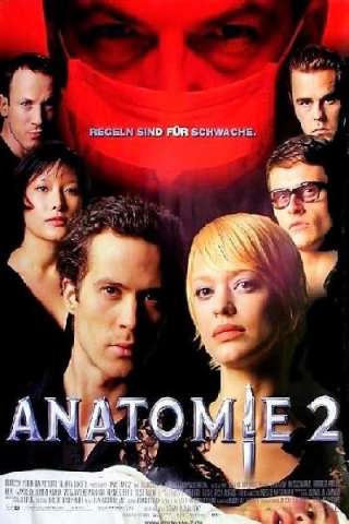Anatomy 2