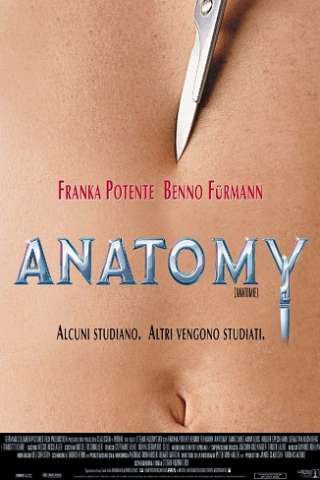 Anatomy