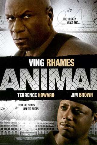 Animal - Il criminale