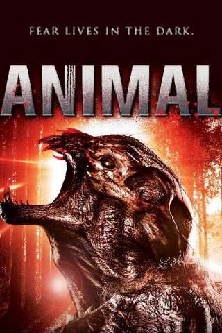 Animal - Il segreto della foresta