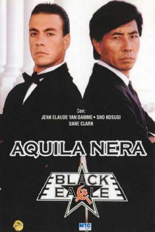 Aquila nera