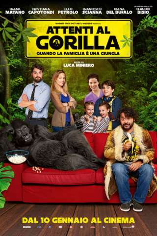 Attenti al gorilla