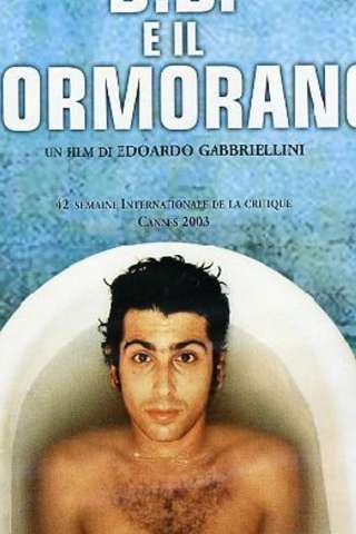 B.B. e il cormorano