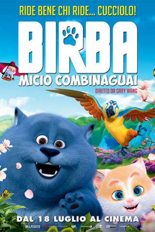 Birba - Micio combinaguai