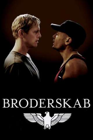 Brotherhood - Fratellanza