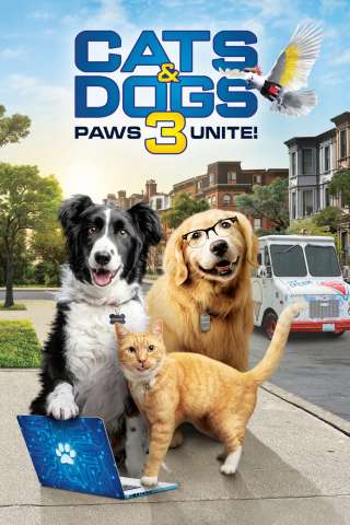 Cani and gatti 3: Zampe unite