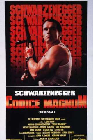 Codice Magnum