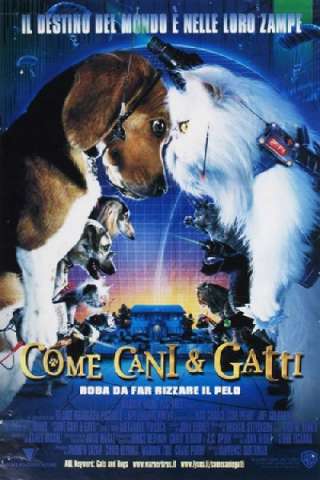 Come cani e gatti