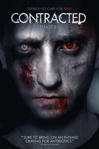 Contracted - Fase II