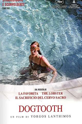 Dogtooth