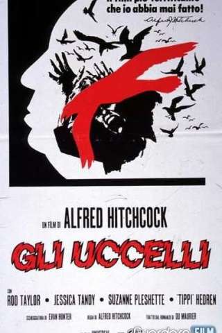Gli uccelli