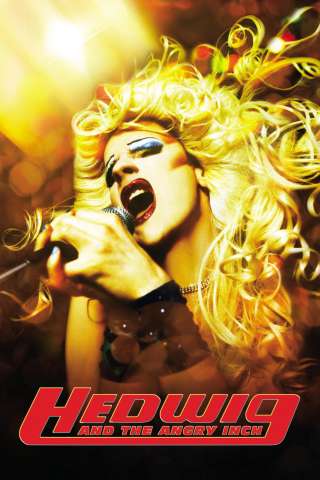 Hedwig - La diva con qualcosa in più