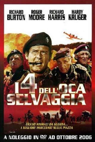 I 4 dell'oca selvaggia