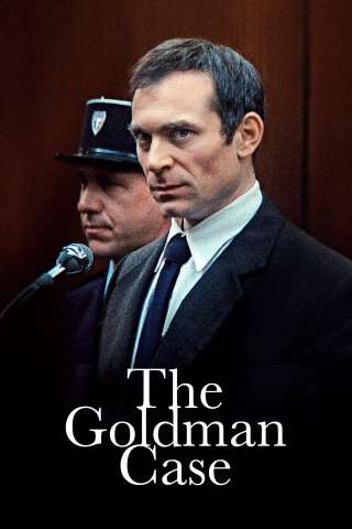 Il caso Goldman