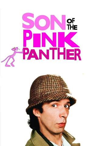 Il figlio della pantera rosa