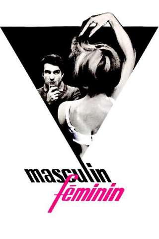 Il maschio e la femmina