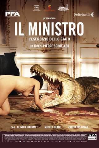 Il Ministro - L'esercizio dello stato