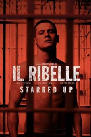 Il Ribelle - Starred Up