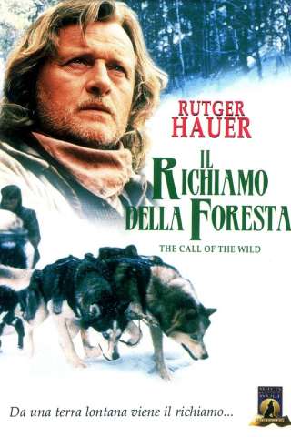 Il richiamo della foresta