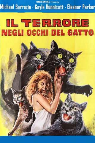 Il terrore negli occhi del gatto