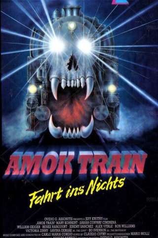 Il treno