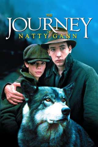 Il viaggio di Natty Gann