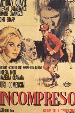 Incompreso (Vita col figlio)