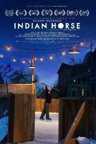 Indian Horse