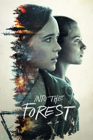 Into the Forest