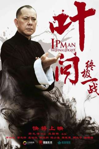 Ip Man - The Final Fight