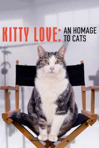 Kitty Love: Evviva i gatti!