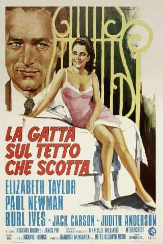 La gatta sul tetto che scotta