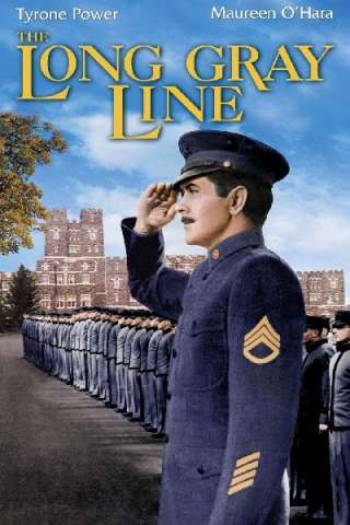 La lunga linea grigia