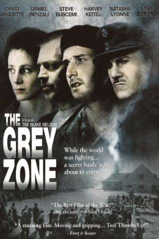 La zona grigia
