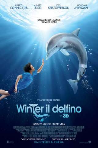 L'incredibile storia di Winter il delfino