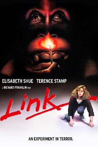 Link