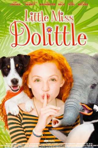Little Miss Dolittle