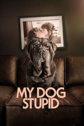 My Dog Stupid
