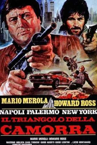 Napoli, Palermo, New York - Il triangolo della camorra