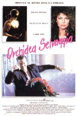 Orchidea selvaggia