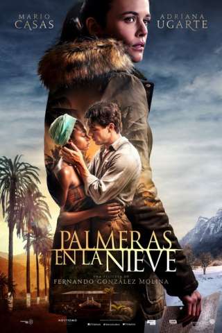 Palme nella neve