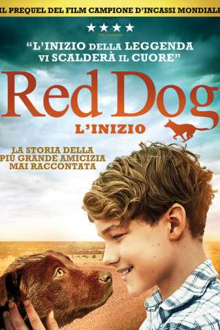 Red Dog: L'inizio