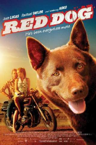 Red Dog
