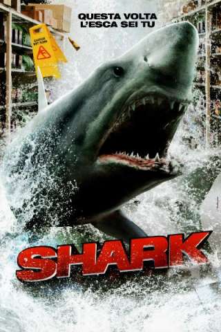 Shark 3D