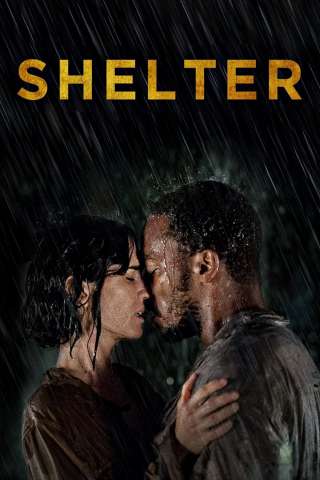 Shelter - senza dimora
