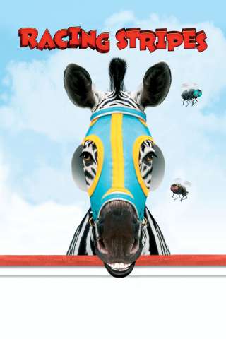 Striscia, una zebra alla riscossa