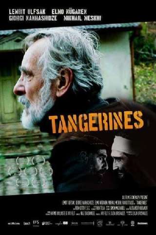 Tangerines - Mandarini